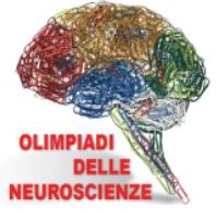 Tre studentesse del liceo Galvani – vincitrici alle Olimpiadi delle neuroscienze – rappresentano il liceo Galvani e tutta la città di Bologna nella fase regionale della competizione